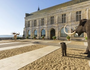 Musée de la Préhistoire du Grand-Pressigny
