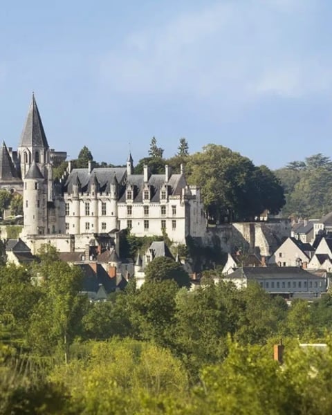 Cité royale de Loches