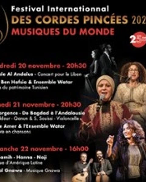 Festival International de Cordes Pincées