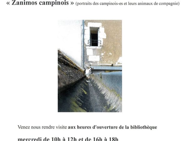 Expositions - Festival Et si on en parlait ?