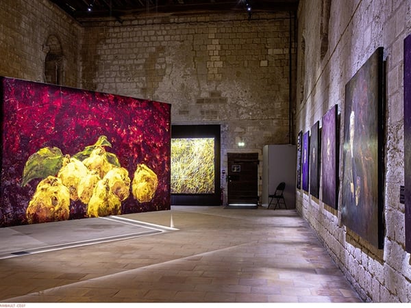 Exposition Les pas du silence