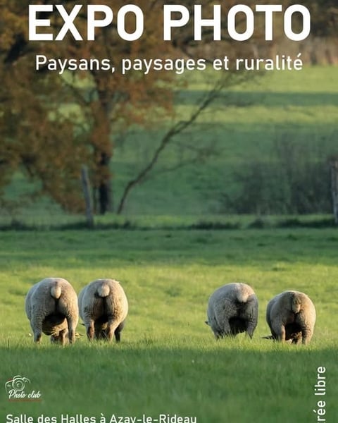 Exposition photo : Paysans, paysages et ruralité