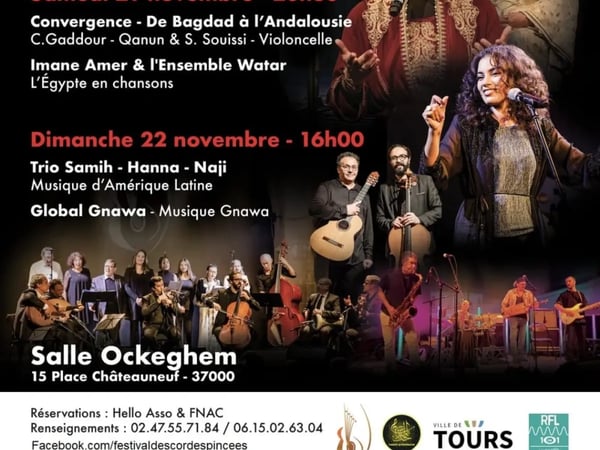 Festival International de Cordes Pincées